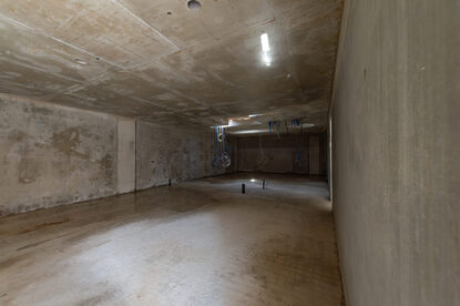 Pruimendijk 20250910 -5