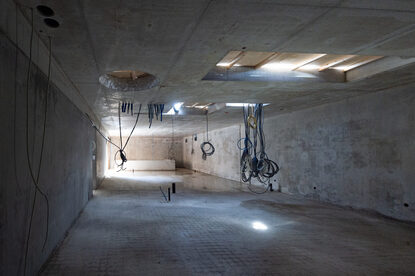 Pruimendijk 20250910 -6