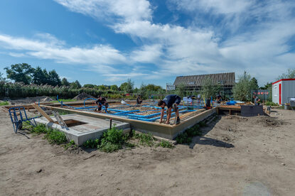 Pruimendijk 20250910 -9