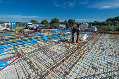 Pruimendijk 20250910 -15