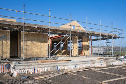 Pruimendijk 20251121 -3