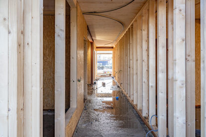 Pruimendijk 20251121 -13