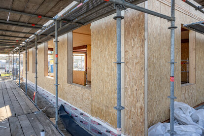 Pruimendijk 20251121 -15