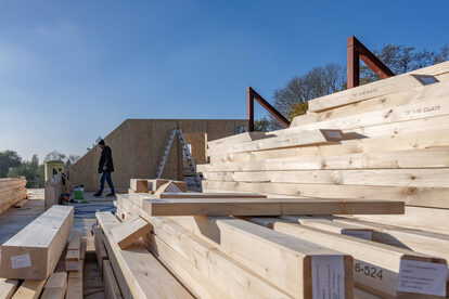 Pruimendijk 20251121 -18