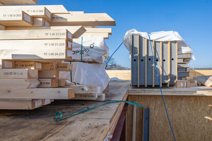 Pruimendijk 20251121 -19