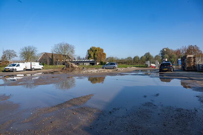 Pruimendijk 20251121 -31