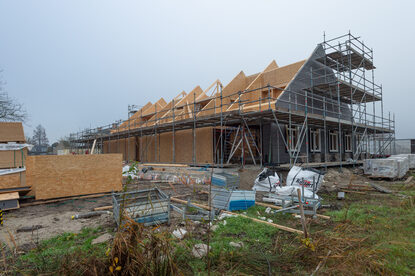 Pruimendijk 20251205 -1