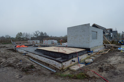 Pruimendijk 20251205 -3