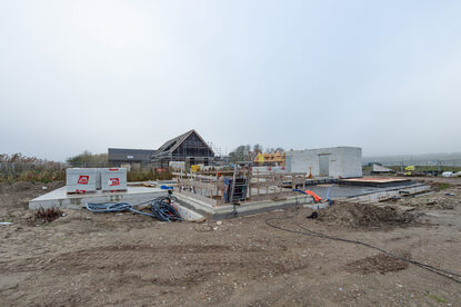 Pruimendijk 20251205 -4