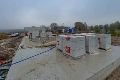 Pruimendijk 20251205 -5