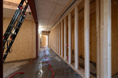 Pruimendijk 20251205 -13