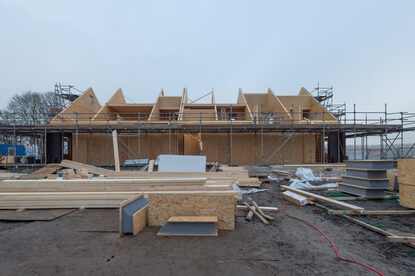 Pruimendijk 20251205 -20