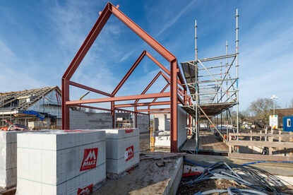 Pruimendijk 20260121  -4