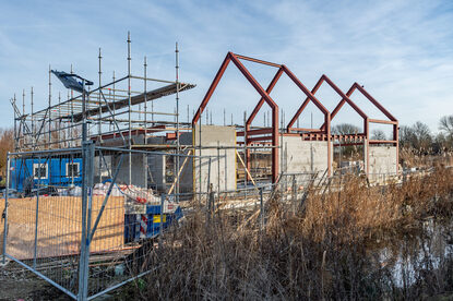 Pruimendijk 20260121  -6