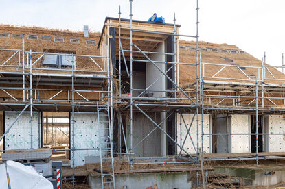 Pruimendijk 20260121  -22