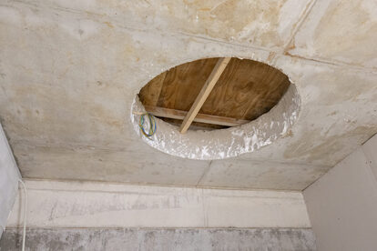 Pruimendijk 20260210 -35