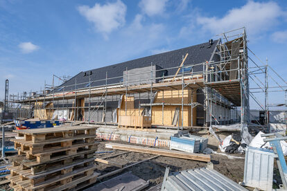 Pruimendijk 20260218 -12