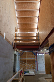 Pruimendijk 20260330 -7