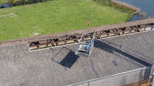 Pruimendijk 230503 klein (2000 px)-20