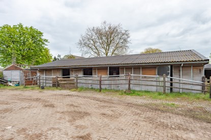 Pruimendijk 230428 klein (2000 px)-30