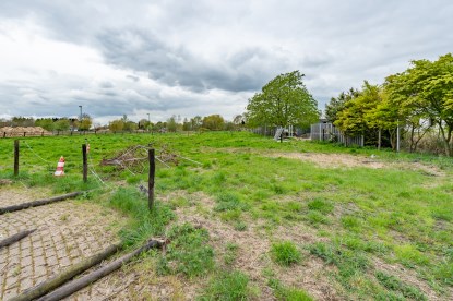 Pruimendijk 230428 klein (2000 px)-43