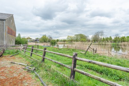 Pruimendijk 230428 klein (2000 px)-47