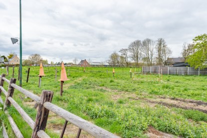 Pruimendijk 230428 klein (2000 px)-51