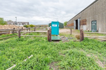 Pruimendijk 230428 klein (2000 px)-55