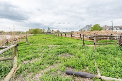 Pruimendijk 230428 klein (2000 px)-56