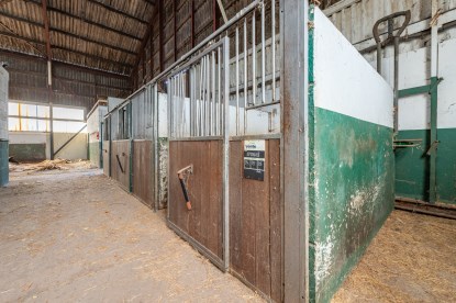 Pruimendijk 230428 klein (2000 px)-62