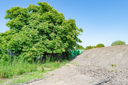 Pruimendijk 20230601 klein (2000 px)-3