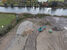 Pruimendijk 20231106 -1