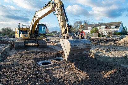 Pruimendijk 20231129-16