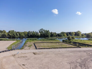 Pruimendijk 20240605 -2