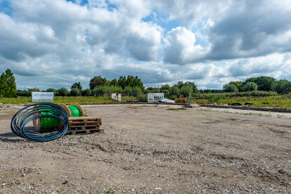 Pruimendijk 20240917 -1