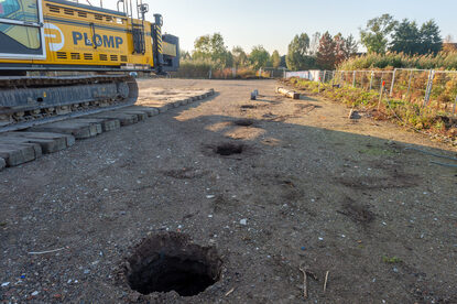 Pruimendijk 20241025 -11