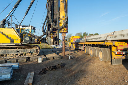 Pruimendijk 20241025 -15