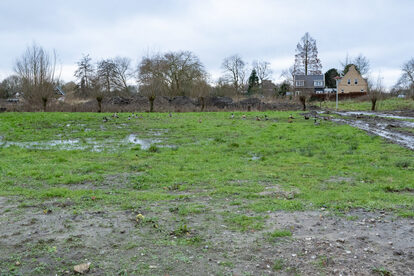 Pruimendijk 20250107 klein -3