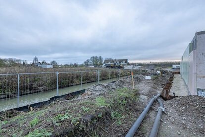 Pruimendijk 20250107 klein -11