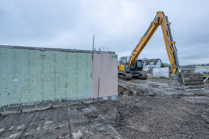 Pruimendijk 20250107 klein -13