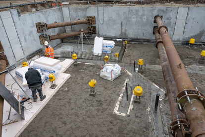 Pruimendijk 20250206 klein-3