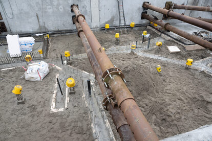 Pruimendijk 20250206 klein-4