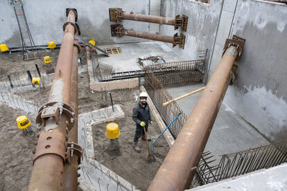 Pruimendijk 20250206 klein-5