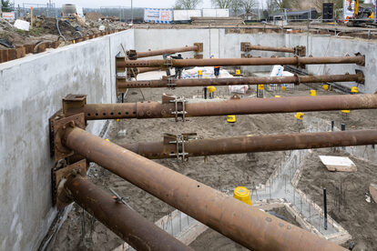 Pruimendijk 20250206 klein-6