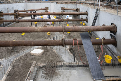 Pruimendijk 20250206 klein-7