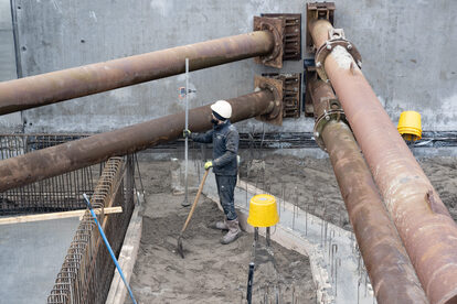 Pruimendijk 20250206 klein-9