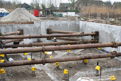 Pruimendijk 20250206 klein-10