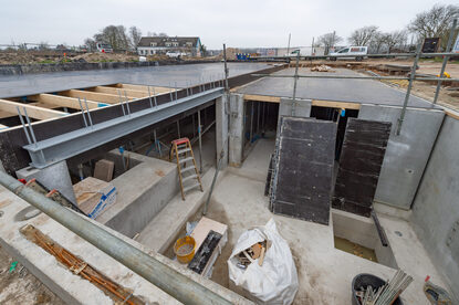 Pruimendijk 20250328 -1