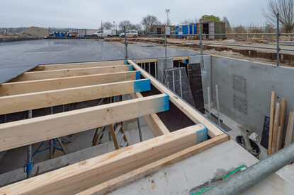 Pruimendijk 20250328 -2