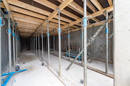 Pruimendijk 20250328 -3